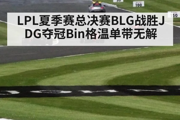 LPL夏季赛总决赛BLG战胜JDG夺冠Bin格温单带无解